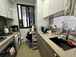 Sant Ritz (D13), Condominium #559245421